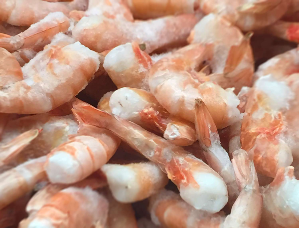 Fish and Shrimp Farms