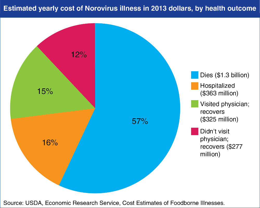 Norovirus Disinfection and control